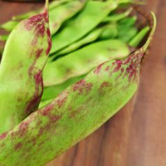 新鲜豆角